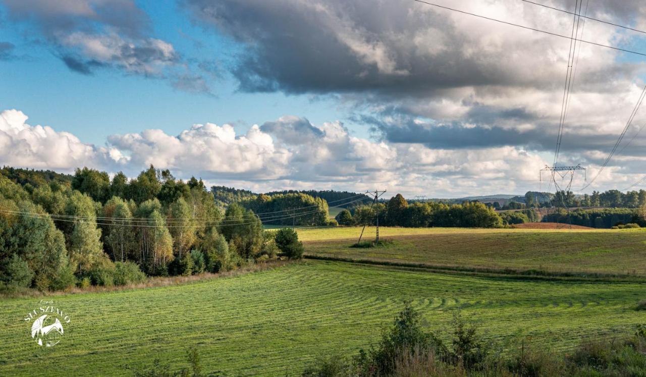 Osada Sluszewo - Apartamenty Restauracja Wydarzenia Гневіно Екстер'єр фото